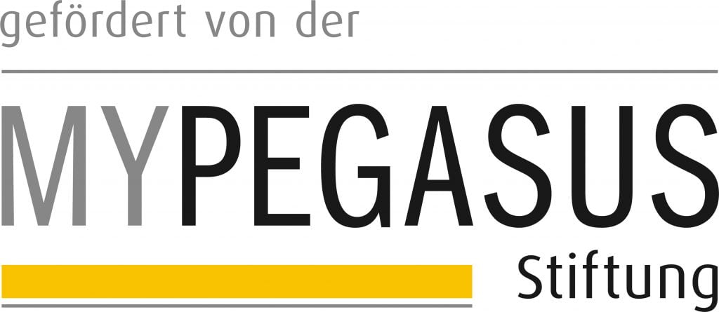 MYPEGASUS Stiftung Logo